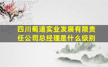 四川蜀道实业发展有限责任公司总经理是什么级别