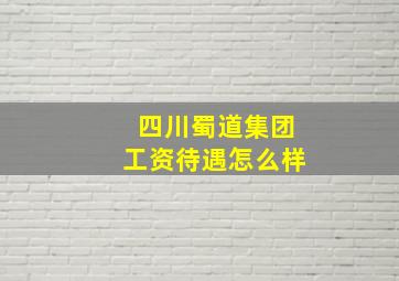 四川蜀道集团工资待遇怎么样