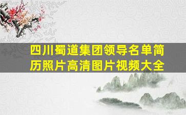 四川蜀道集团领导名单简历照片高清图片视频大全