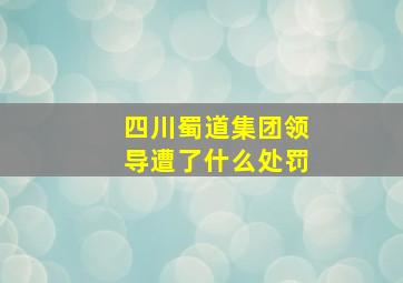 四川蜀道集团领导遭了什么处罚