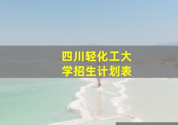 四川轻化工大学招生计划表