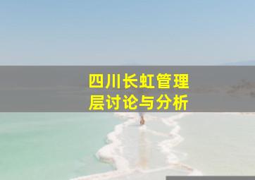 四川长虹管理层讨论与分析