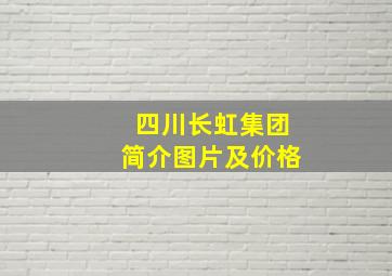 四川长虹集团简介图片及价格