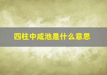 四柱中咸池是什么意思