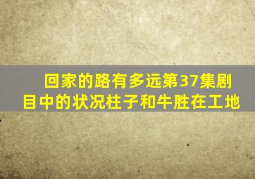 回家的路有多远第37集剧目中的状况柱子和牛胜在工地