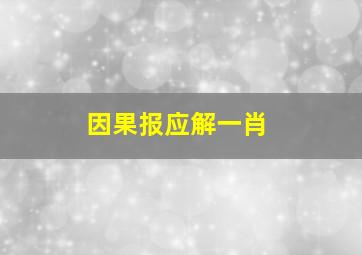 因果报应解一肖