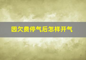 因欠费停气后怎样开气