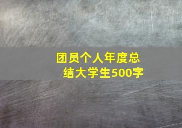 团员个人年度总结大学生500字