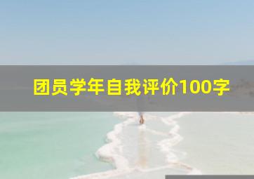 团员学年自我评价100字