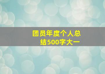 团员年度个人总结500字大一