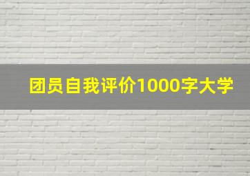 团员自我评价1000字大学