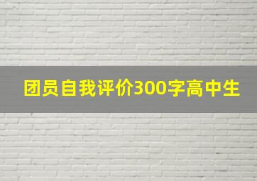 团员自我评价300字高中生