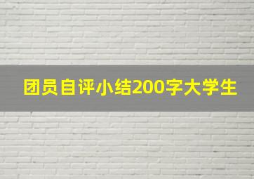 团员自评小结200字大学生