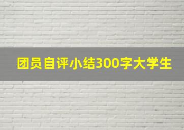 团员自评小结300字大学生