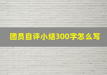 团员自评小结300字怎么写