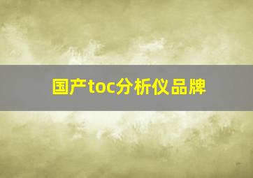 国产toc分析仪品牌