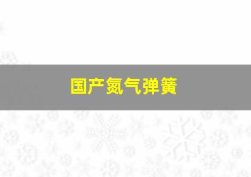 国产氮气弹簧