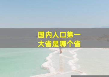 国内人口第一大省是哪个省