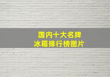 国内十大名牌冰箱排行榜图片