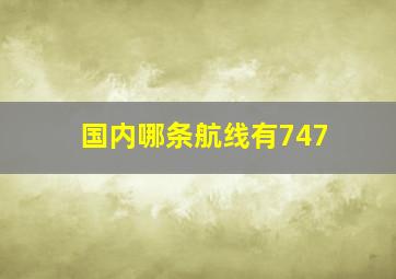 国内哪条航线有747