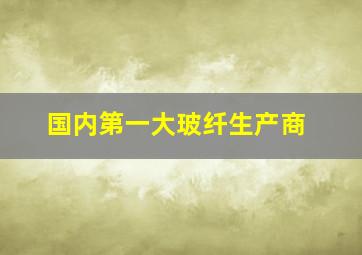 国内第一大玻纤生产商