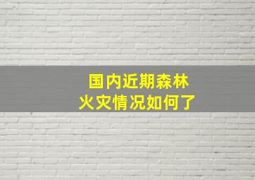 国内近期森林火灾情况如何了