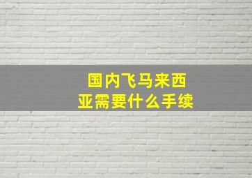 国内飞马来西亚需要什么手续