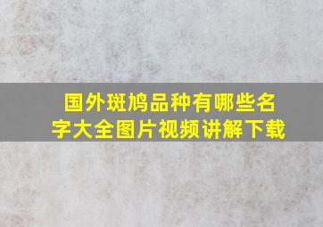 国外斑鸠品种有哪些名字大全图片视频讲解下载