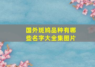 国外斑鸠品种有哪些名字大全集图片