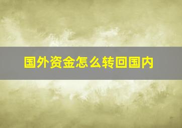 国外资金怎么转回国内