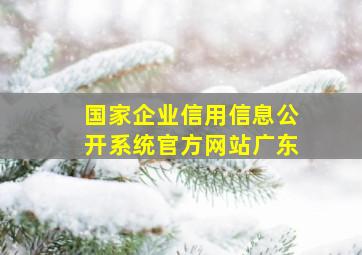 国家企业信用信息公开系统官方网站广东