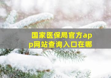 国家医保局官方app网站查询入口在哪