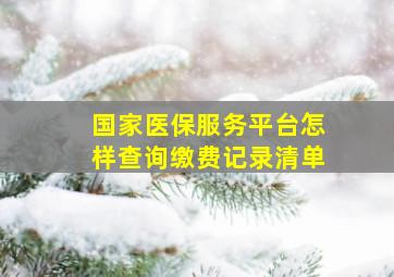 国家医保服务平台怎样查询缴费记录清单