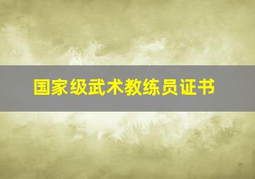 国家级武术教练员证书