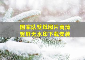 国家队壁纸图片高清竖屏无水印下载安装