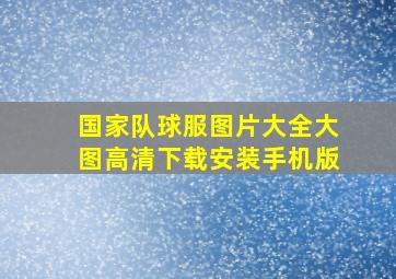 国家队球服图片大全大图高清下载安装手机版