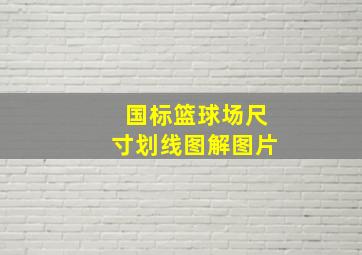 国标篮球场尺寸划线图解图片