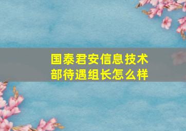 国泰君安信息技术部待遇组长怎么样