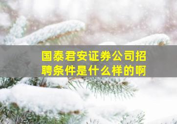 国泰君安证券公司招聘条件是什么样的啊