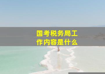 国考税务局工作内容是什么