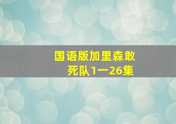 国语版加里森敢死队1一26集