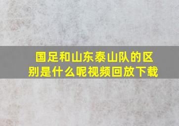 国足和山东泰山队的区别是什么呢视频回放下载