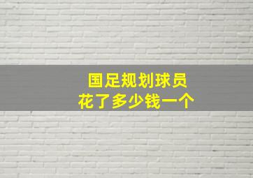 国足规划球员花了多少钱一个