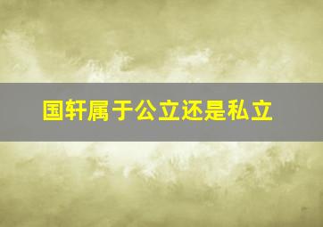 国轩属于公立还是私立