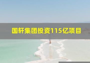 国轩集团投资115亿项目