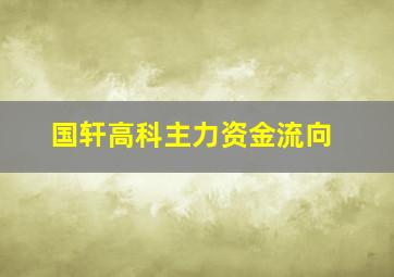 国轩高科主力资金流向