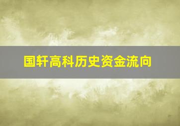 国轩高科历史资金流向