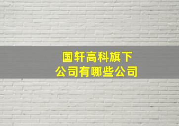 国轩高科旗下公司有哪些公司