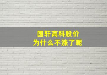 国轩高科股价为什么不涨了呢