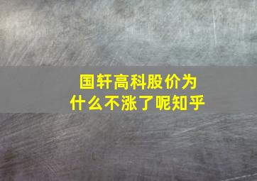 国轩高科股价为什么不涨了呢知乎